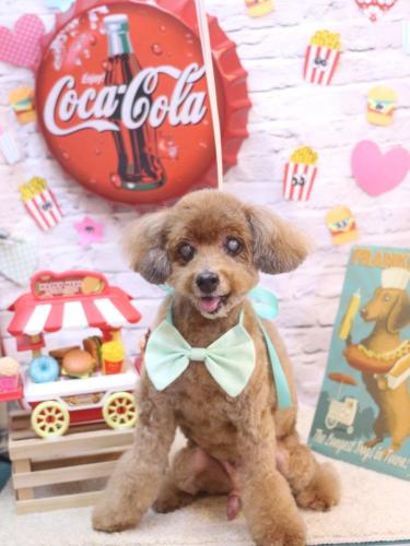 20230924颯太くん